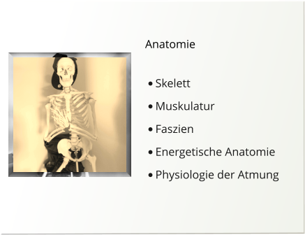 Anatomie  •	Skelett •	Muskulatur •	Faszien •	Energetische Anatomie •	Physiologie der Atmung